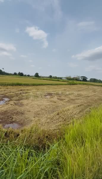 Land for sale in Nongkhai, Nong Khai, Hat Kam, Muang Nong Khai, Nong Khai, , 1,600 sqm, Land For Sale, by Maneekan Thanakunkittinan, 500449505 - DDproperty.com