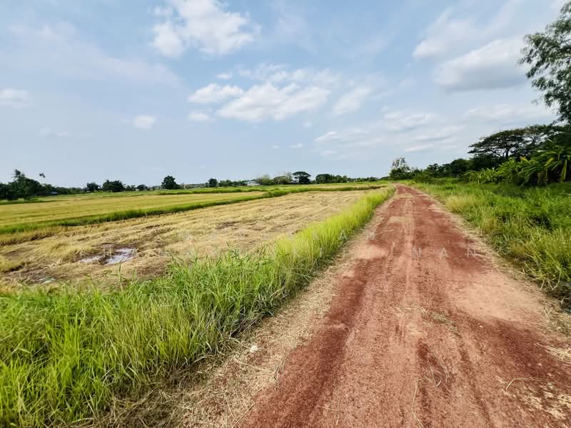 Land for sale in Nongkhai, Nong Khai, Hat Kam, Muang Nong Khai, Nong Khai, , 1,600 sqm, Land For Sale, by Maneekan Thanakunkittinan, 500449505 - DDproperty.com