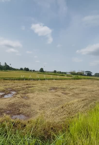Land for sale in Nongkhai, Nong Khai, Hat Kam, Muang Nong Khai, Nong Khai, , 1,600 sqm, Land For Sale, by Maneekan Thanakunkittinan, 500449505 - DDproperty.com