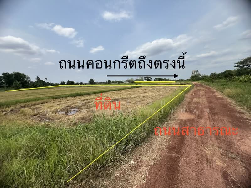 ขายที่ดินบ้านหาดคำราคาถูก อ.เมืองหนองคาย, หนองคาย, หาดคำ, เมืองหนองคาย, หนองคาย, 1,600 ตร.ม., ที่ดิน ขาย, โดย Maneekan Thanakunkittinan, 500449505 - DDproperty.com