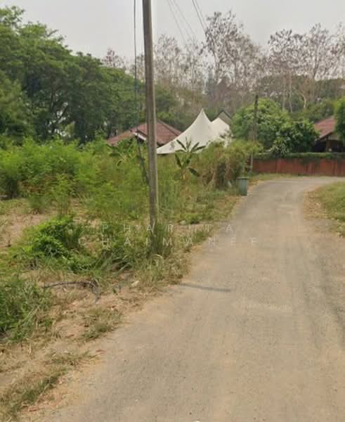 ไม่พบโครงการ, Chiang Mai, , Chang Phuak, Muang Chiang Mai, Chiang Mai, , 784 sqm, Land For Sale, by Pharita Chaimanee, 500449516 - DDproperty.com