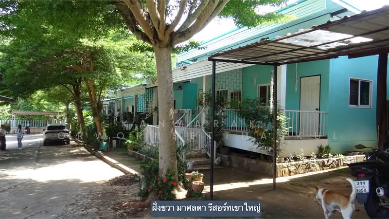 รีสอร์ท ห้องเช่า ตำบลหมูสี อำเภอปากช่อง จังหวัดนครราชสีมา, Nakhon Ratchasima, Mu Si, Pak Chong, Nakhon Ratchasima, , 280 sqm, Business For Sale, by Kanyarak Borwornsetthaskul, 500449558 - DDproperty.com