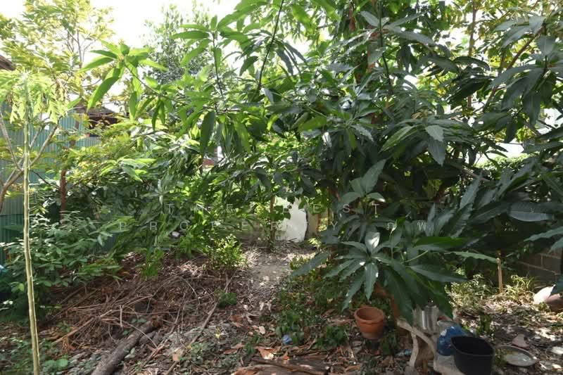 ที่ดินพร้อมสิ่งปลูกสร้างมีนบุรี กรุงเทพมหานคร, กรุงเทพ, มีนบุรี, กรุงเทพ, 120 ตร.ม., ที่ดิน ขาย, โดย The Best Property ภพ, 500449616 - DDproperty.com