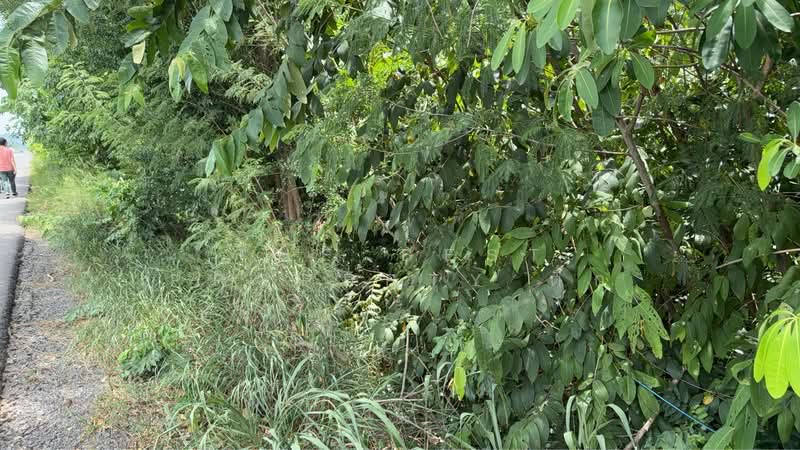 ที่ดินพัฒนานิคม ลพบุรี, Lop Buri, Khok Salung, Phatthana Nikhom, Lop Buri, , 24,216 sqm, Land For Sale, by The Best Property ติ๊ก, 500449638 - DDproperty.com