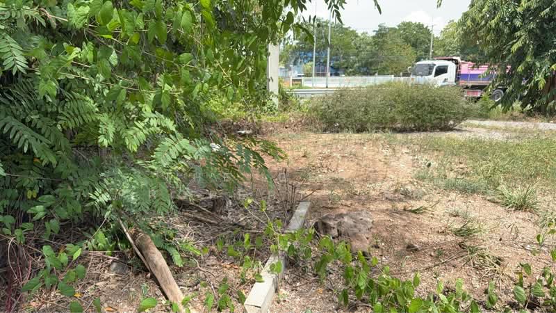 ที่ดินพัฒนานิคม ลพบุรี, Lop Buri, Khok Salung, Phatthana Nikhom, Lop Buri, , 24,216 sqm, Land For Sale, by The Best Property ติ๊ก, 500449638 - DDproperty.com