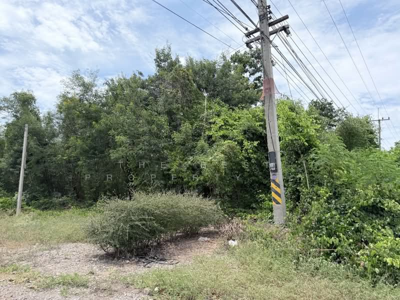 ที่ดินพัฒนานิคม ลพบุรี, Lop Buri, Khok Salung, Phatthana Nikhom, Lop Buri, , 24,216 sqm, Land For Sale, by The Best Property ติ๊ก, 500449638 - DDproperty.com