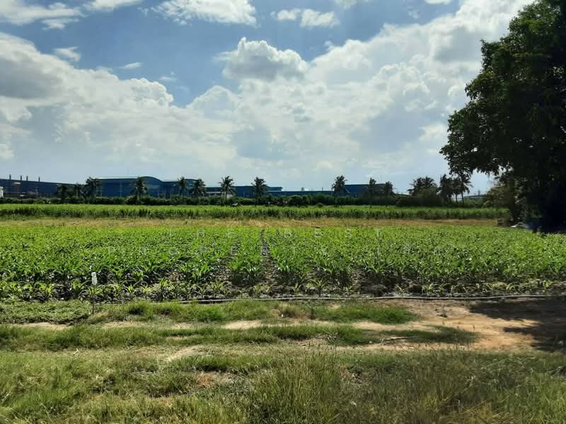 ที่ดินท่ามะกา กาญจนบุรี, Kanchanaburi, U Lok Si Mun, Tha Maka, Kanchanaburi, , 8,800 sqm, Land For Sale, by The Best Property เสือ, 500449640 - DDproperty.com