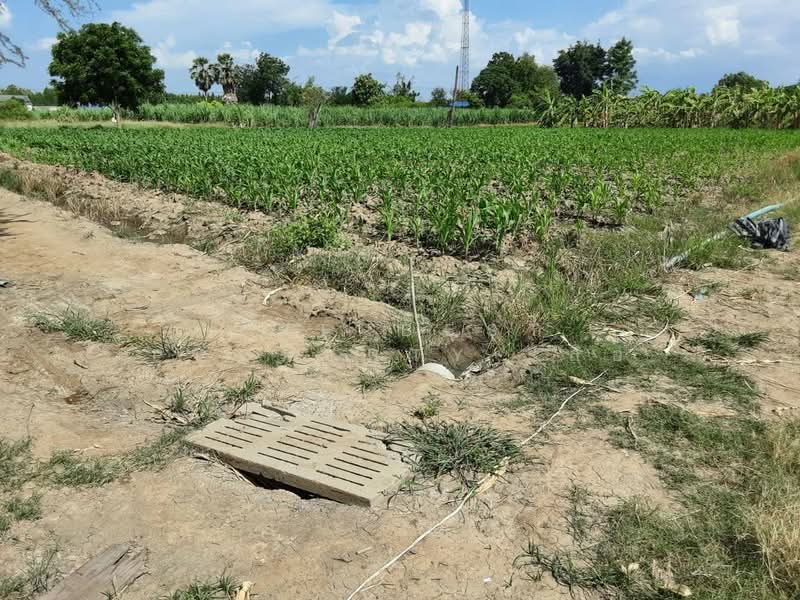 ที่ดินท่ามะกา กาญจนบุรี, กาญจนบุรี, อุโลกสี่หมื่น, ท่ามะกา, กาญจนบุรี, 8,800 ตร.ม., ที่ดิน ขาย, โดย The Best Property เสือ, 500449640 - DDproperty.com