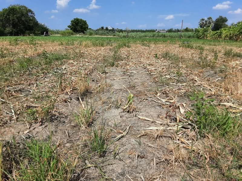 ที่ดินท่ามะกา กาญจนบุรี, Kanchanaburi, U Lok Si Mun, Tha Maka, Kanchanaburi, , 8,800 sqm, Land For Sale, by The Best Property เสือ, 500449640 - DDproperty.com