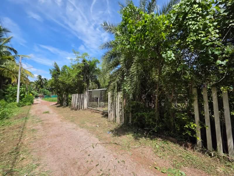 ที่ดินดำเนินสะดวก ราชบุรี, Ratchaburi, Ta Luang, Damnoen Saduak, Ratchaburi, , 216 sqm, Land For Sale, by The Best Property แจ๊กกี้, 500449643 - DDproperty.com