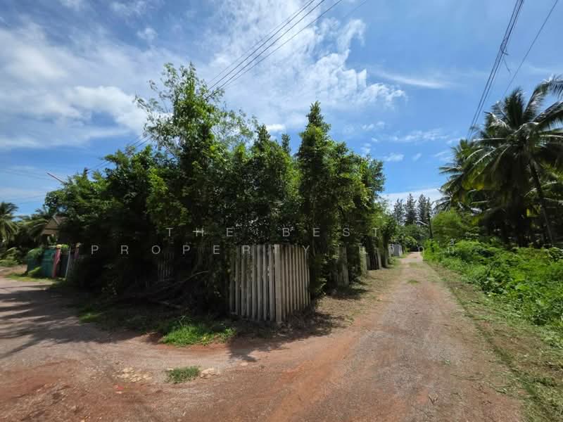 ที่ดินดำเนินสะดวก ราชบุรี, ราชบุรี, ตาหลวง, ดำเนินสะดวก, ราชบุรี, 216 ตร.ม., ที่ดิน ขาย, โดย The Best Property แจ๊กกี้, 500449643 - DDproperty.com