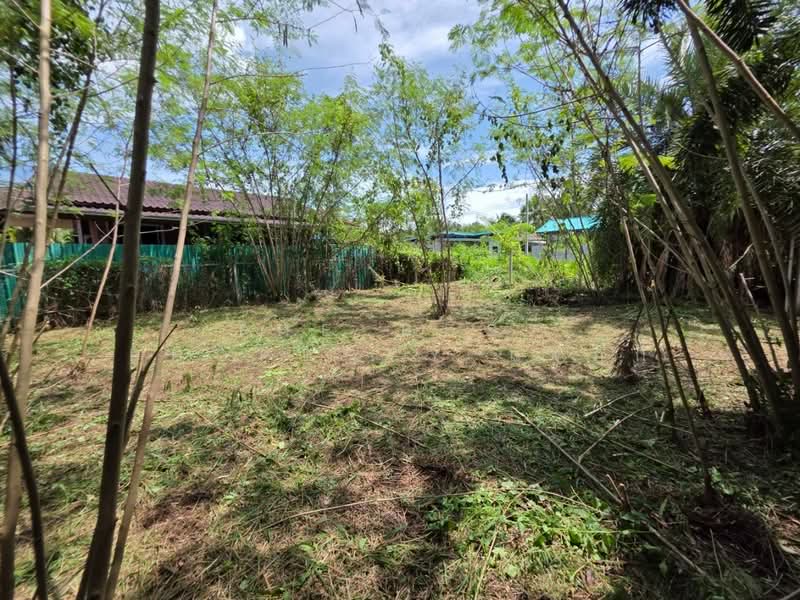 ที่ดินดำเนินสะดวก ราชบุรี, Ratchaburi, Ta Luang, Damnoen Saduak, Ratchaburi, , 216 sqm, Land For Sale, by The Best Property แจ๊กกี้, 500449643 - DDproperty.com
