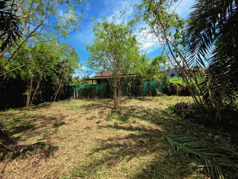 ที่ดินดำเนินสะดวก ราชบุรี, Ratchaburi, Ta Luang, Damnoen Saduak, Ratchaburi, , 216 sqm, Land For Sale, by The Best Property แจ๊กกี้, 500449643 - DDproperty.com