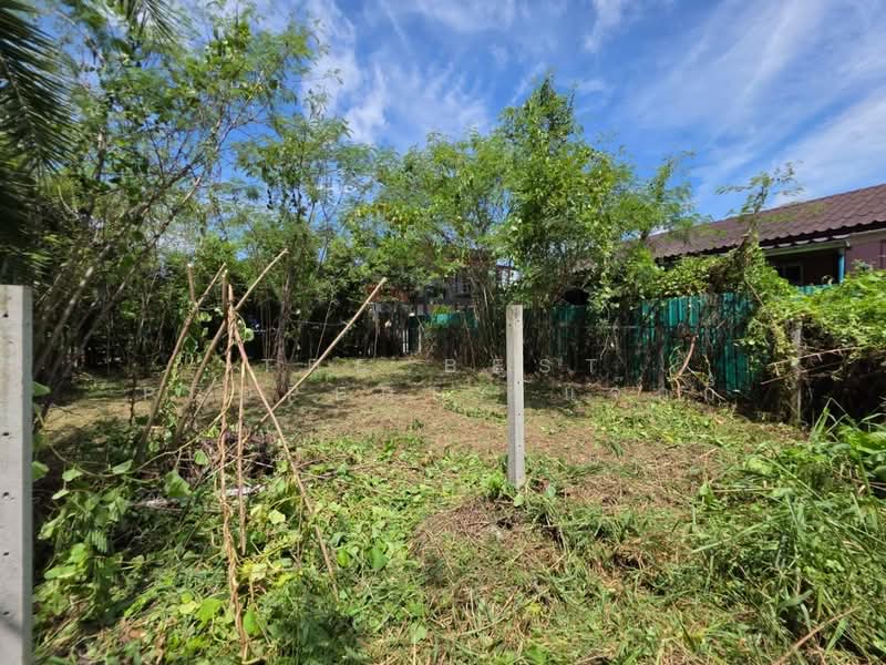 ที่ดินดำเนินสะดวก ราชบุรี, ราชบุรี, ตาหลวง, ดำเนินสะดวก, ราชบุรี, 216 ตร.ม., ที่ดิน ขาย, โดย The Best Property แจ๊กกี้, 500449643 - DDproperty.com