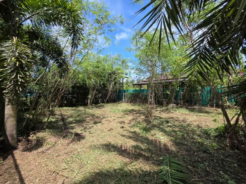 ที่ดินดำเนินสะดวก ราชบุรี, Ratchaburi, Ta Luang, Damnoen Saduak, Ratchaburi, , 216 sqm, Land For Sale, by The Best Property แจ๊กกี้, 500449643 - DDproperty.com