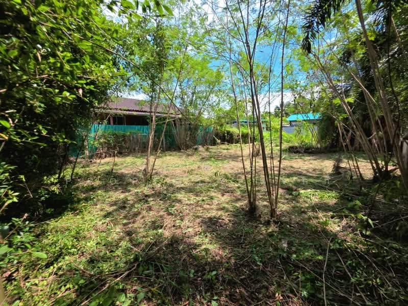 ที่ดินดำเนินสะดวก ราชบุรี, Ratchaburi, Ta Luang, Damnoen Saduak, Ratchaburi, , 216 sqm, Land For Sale, by The Best Property แจ๊กกี้, 500449643 - DDproperty.com