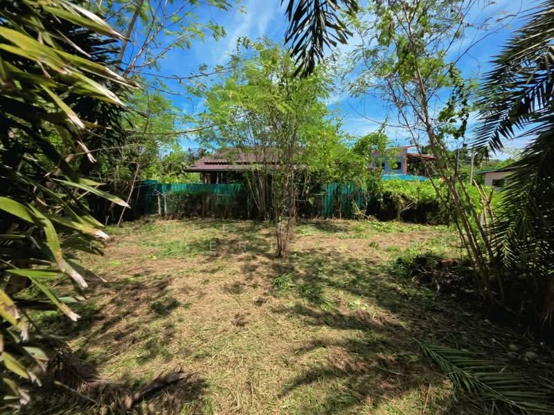 ที่ดินดำเนินสะดวก ราชบุรี, Ratchaburi, Ta Luang, Damnoen Saduak, Ratchaburi, , 216 sqm, Land For Sale, by The Best Property แจ๊กกี้, 500449643 - DDproperty.com
