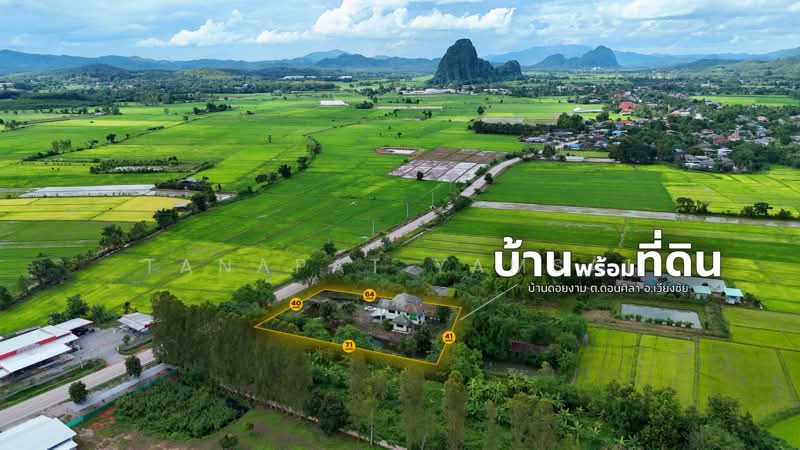 House with Land wiengchai, Chiang Rai, 1306, Don Sila, Wiang Chai, Chiang Rai, 5 Bedrooms, 200 sqm, Single Detached House For Sale, by Tanapat Yamsai, 500449745 - DDproperty.com