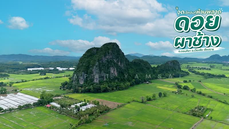 House with Land wiengchai, Chiang Rai, 1306, Don Sila, Wiang Chai, Chiang Rai, 5 Bedrooms, 200 sqm, Single Detached House For Sale, by Tanapat Yamsai, 500449745 - DDproperty.com