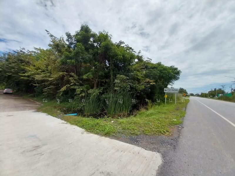 ขายที่ดินลำลูกกา ปทุมธานี, Pathum Thani, Bung Thong Lang, Lam Luk Ka, Pathum Thani, , 10,080 sqm, Land For Sale, by ณฐพล บุญทานนท์, 500449821 - DDproperty.com