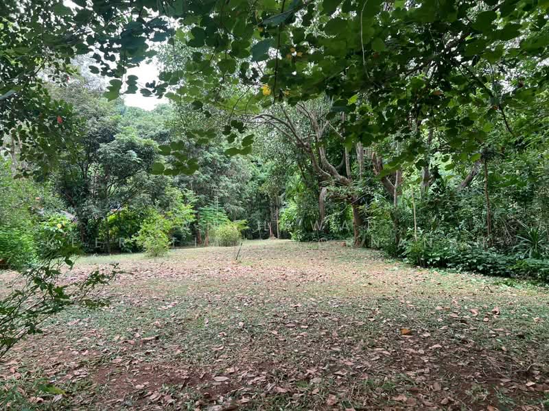 โครงการบ้านภูตะวัน ปากช่อง, Nakhon Ratchasima, Pak Chong, Nakhon Ratchasima, 6 Bedrooms, 300 sqm, Single Detached House For Sale, by Panthawan Keeratithavornanan, 500449836 - DDproperty.com