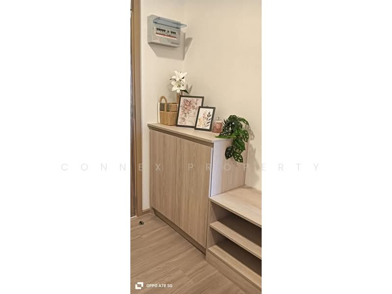 The Base Bukit Phuket, Phuket, 12 Vichitsongkram Rd, Wichit, Muang Phuket, Phuket, 1 Bedroom, 25 sqm, Condo For Rent, by Connex Property, 500450072 - DDproperty.com