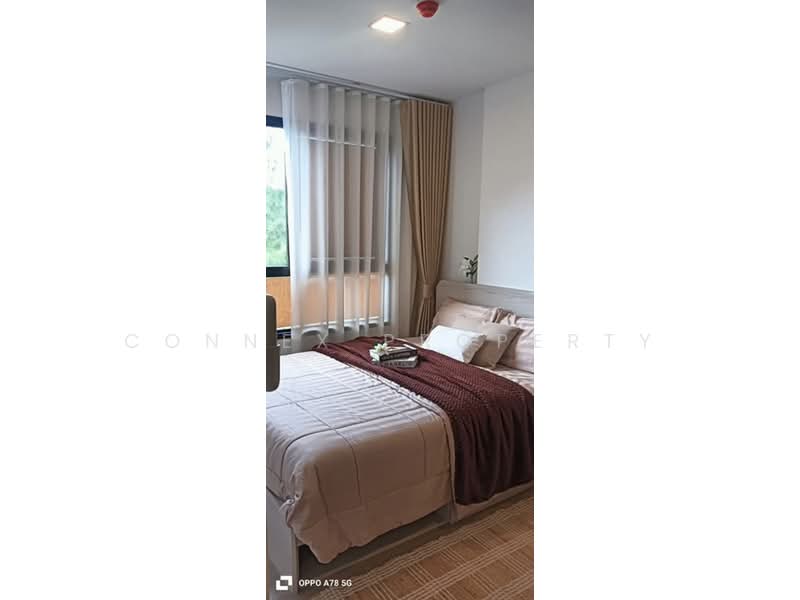The Base Bukit Phuket, Phuket, 12 Vichitsongkram Rd, Wichit, Muang Phuket, Phuket, 1 Bedroom, 25 sqm, Condo For Rent, by Connex Property, 500450072 - DDproperty.com