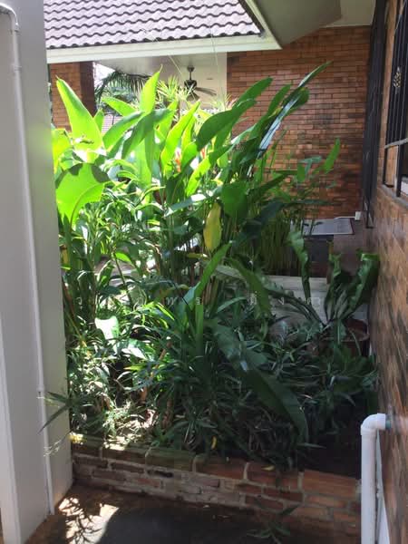 Hangdong, Chiang Mai, Hang Dong, Chiang Mai, 2 Bedrooms, 140 sqm, Single Detached House For Rent, by วุฒิภัทร มิ่งคำ, 500450087 - DDproperty.com