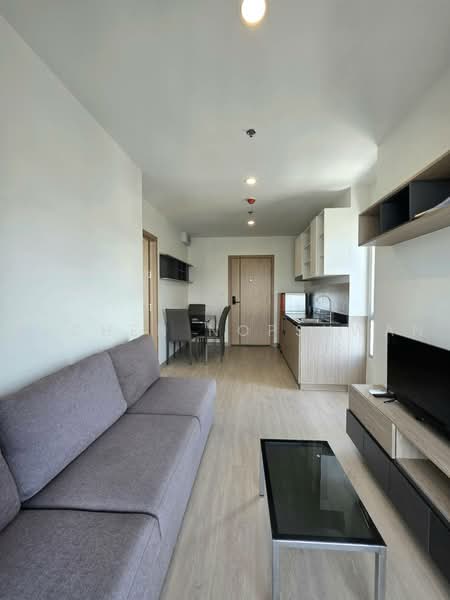 Plus Connect Hatyai, Songkhla, Rajyindee Rd, Hat-Yai, Hat Yai, Songkhla, 1 Bedroom, 33 sqm, Condo For Rent, by Rachen Nopsuwan, 500450183 - DDproperty.com