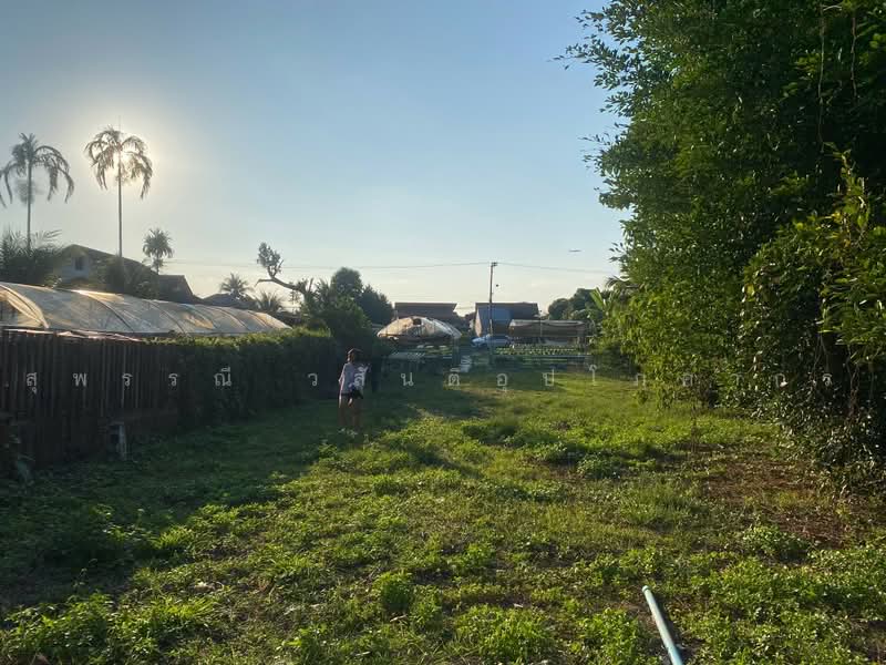 Land with Construction Plans – Pa Daet, Chiang Mai, Pa Daet, Muang Chiang Mai, Chiang Mai, , 243 sqm, Business For Sale, by สุพรรณี วสันติอุปโภคากร, 500450289 - DDproperty.com