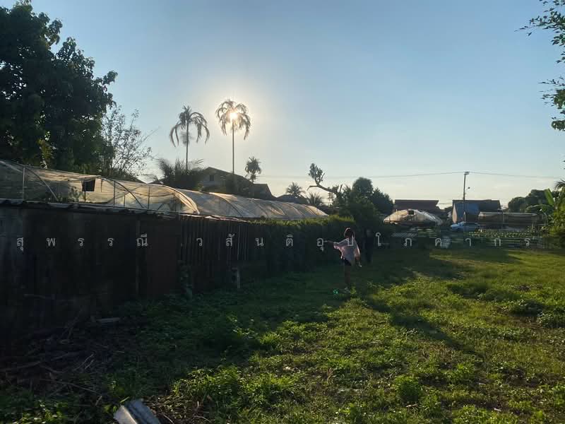 Land with Construction Plans – Pa Daet, Chiang Mai, Pa Daet, Muang Chiang Mai, Chiang Mai, , 243 sqm, Business For Sale, by สุพรรณี วสันติอุปโภคากร, 500450289 - DDproperty.com