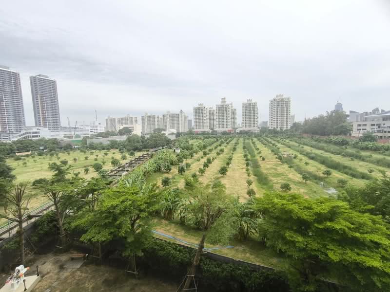 Chapter One ECO Ratchada-Huaikwang, Bangkok, Pracha Uthit Road, Huai Khwang, Bangkok, Studio, 24 sqm, Condo For Rent, by Khun Tae, 500450327 - DDproperty.com