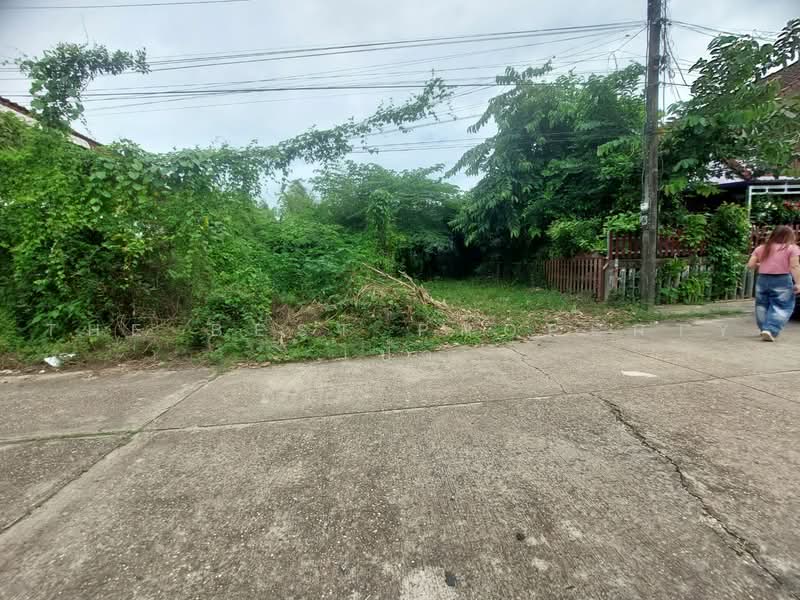 ที่ดินท่าบ่อ หนองคาย, หนองคาย, ท่าบ่อ, หนองคาย, 205 ตร.ม., ที่ดิน ขาย, โดย The Best Property เป้า, 500450333 - DDproperty.com