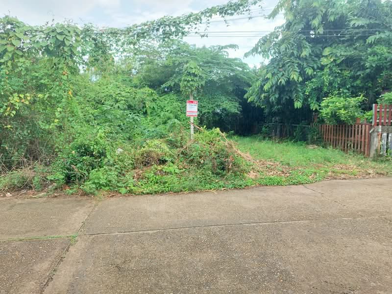 ที่ดินท่าบ่อ หนองคาย, หนองคาย, ท่าบ่อ, หนองคาย, 205 ตร.ม., ที่ดิน ขาย, โดย The Best Property เป้า, 500450333 - DDproperty.com