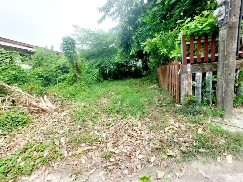 ที่ดินท่าบ่อ หนองคาย, หนองคาย, ท่าบ่อ, หนองคาย, 205 ตร.ม., ที่ดิน ขาย, โดย The Best Property เป้า, 500450333 - DDproperty.com