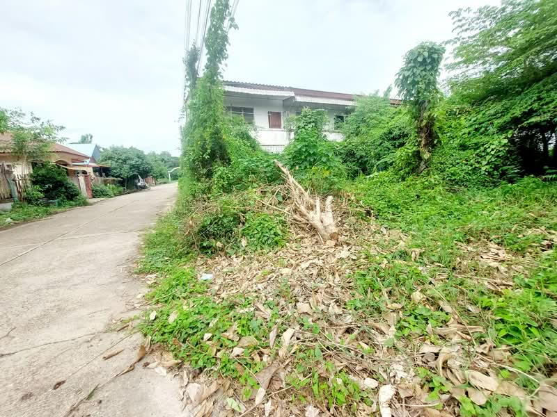 ที่ดินท่าบ่อ หนองคาย, หนองคาย, ท่าบ่อ, หนองคาย, 205 ตร.ม., ที่ดิน ขาย, โดย The Best Property เป้า, 500450333 - DDproperty.com
