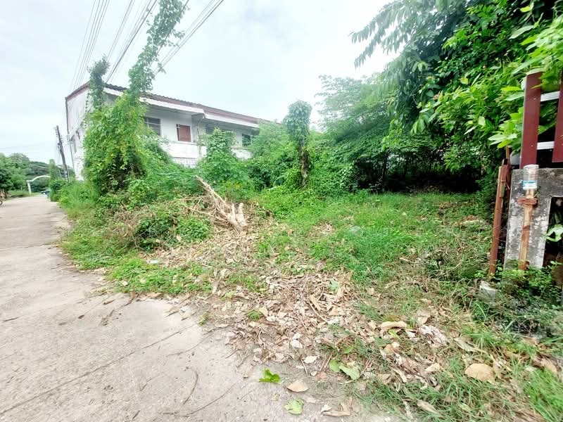 ที่ดินท่าบ่อ หนองคาย, หนองคาย, ท่าบ่อ, หนองคาย, 205 ตร.ม., ที่ดิน ขาย, โดย The Best Property เป้า, 500450333 - DDproperty.com