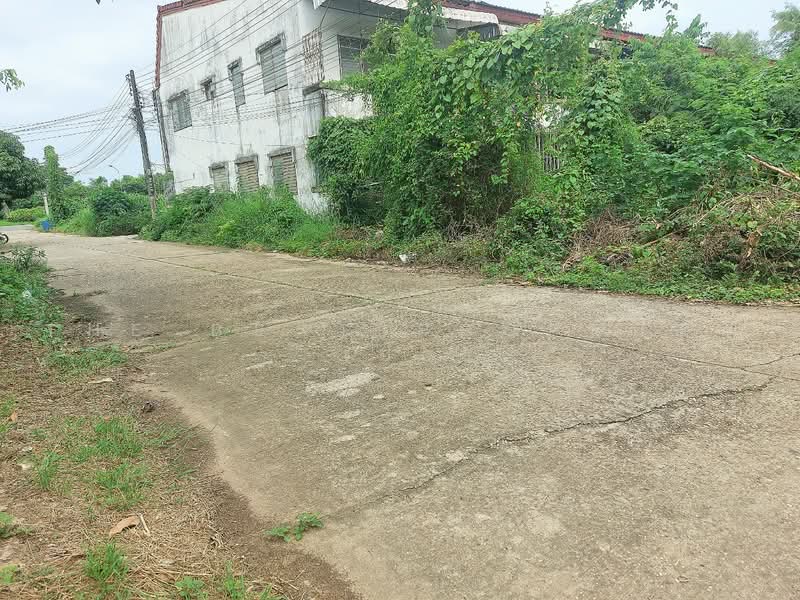 ที่ดินท่าบ่อ หนองคาย, หนองคาย, ท่าบ่อ, หนองคาย, 205 ตร.ม., ที่ดิน ขาย, โดย The Best Property เป้า, 500450333 - DDproperty.com