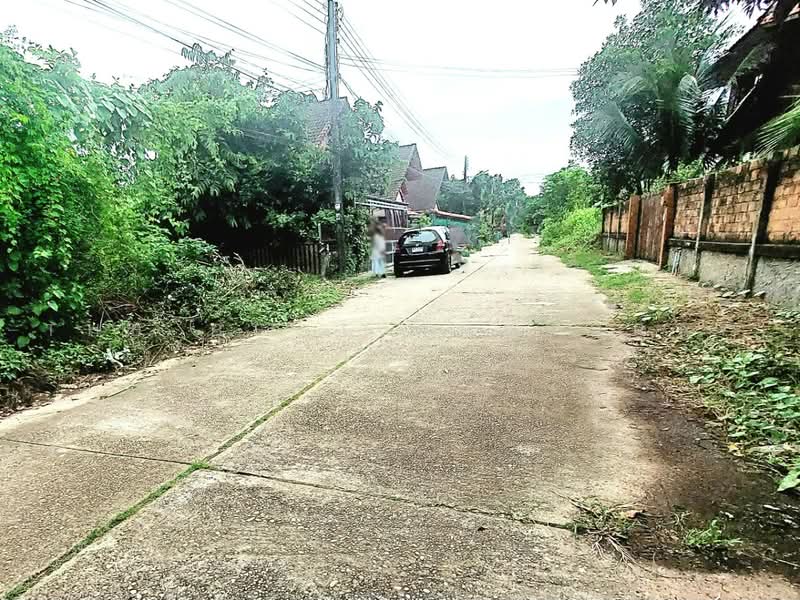 ที่ดินท่าบ่อ หนองคาย, หนองคาย, ท่าบ่อ, หนองคาย, 205 ตร.ม., ที่ดิน ขาย, โดย The Best Property เป้า, 500450333 - DDproperty.com