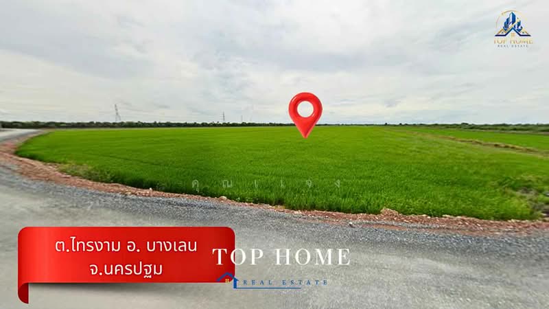 ขายด่วน! ที่ดินแปลงใหญ่ 30 ไร่ บางเลน ติดถนนลาดยาง ทำเลศักยภาพ เหมาะลงทุน, Nakhon Pathom, Sai Ngam, Bang Len, Nakhon Pathom, , 49,544 sqm, Land For Sale, by คุณเเจง, 500450556 - DDproperty.com