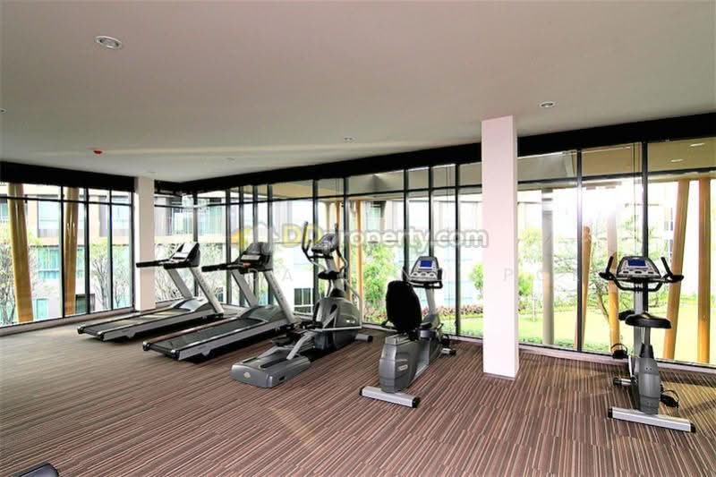 Dcondo Creek Phuket, Phuket, 81 Moo 2, Kathu, Phuket, 1 Bedroom, 30 sqm, Condo For Sale, by Witada Jindapol, 500450621 - DDproperty.com