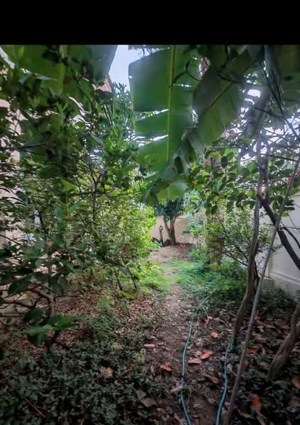 Passorn 7 Rattanathibet, Nonthaburi, Bang Kruai - Sai Noi Road, Bang Rak Yai, Bang Bua Thong, Nonthaburi, 4 Bedrooms, 250 sqm, Single Detached House For Sale, by HOME Real Estate Service, 500450669 - DDproperty.com