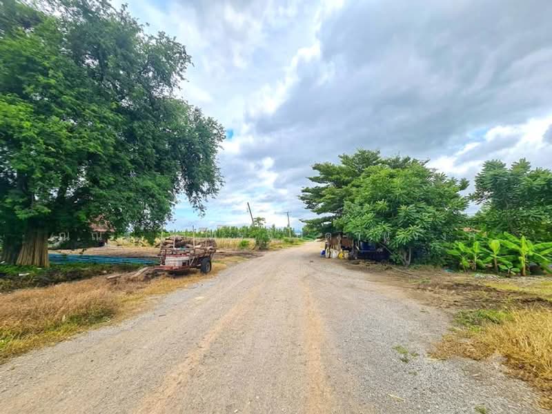 ต.กันจุ อ.บึงสามพัน จ.เพชรบูรณ์, Phetchabun, Kan Chu, Buang Sam Phan, Phetchabun, , 3,200 sqm, Land For Sale, by ณณัฐ ภัทรจินดานุวงศ์, 500450675 - DDproperty.com