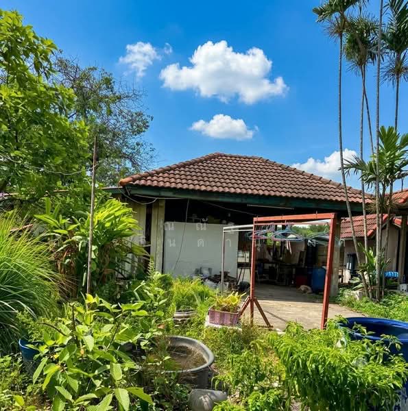 ถนนเอราวัณ1 ต.คลองสอง อ.คลองหลวง จ.ปทุมธานี, ปทุมธานี, คลองสอง, คลองหลวง, ปทุมธานี, 3,200 ตร.ม., ที่ดิน ขาย, โดย ณณัฐ ภัทรจินดานุวงศ์, 500450722 - DDproperty.com