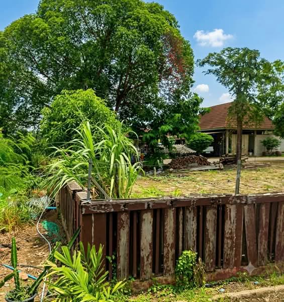 ถนนเอราวัณ1 ต.คลองสอง อ.คลองหลวง จ.ปทุมธานี, ปทุมธานี, คลองสอง, คลองหลวง, ปทุมธานี, 3,200 ตร.ม., ที่ดิน ขาย, โดย ณณัฐ ภัทรจินดานุวงศ์, 500450722 - DDproperty.com