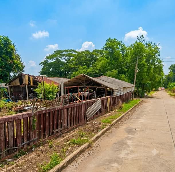 ถนนเอราวัณ1 ต.คลองสอง อ.คลองหลวง จ.ปทุมธานี, ปทุมธานี, คลองสอง, คลองหลวง, ปทุมธานี, 3,200 ตร.ม., ที่ดิน ขาย, โดย ณณัฐ ภัทรจินดานุวงศ์, 500450722 - DDproperty.com