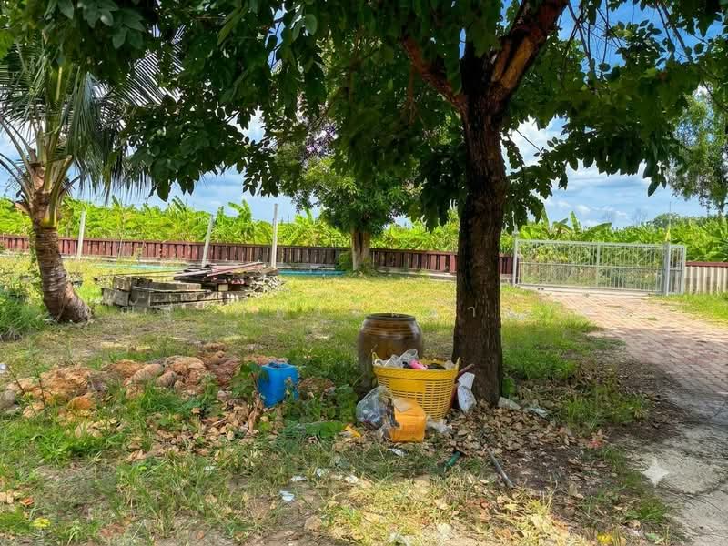 ถนนเอราวัณ1 ต.คลองสอง อ.คลองหลวง จ.ปทุมธานี, ปทุมธานี, คลองสอง, คลองหลวง, ปทุมธานี, 3,200 ตร.ม., ที่ดิน ขาย, โดย ณณัฐ ภัทรจินดานุวงศ์, 500450722 - DDproperty.com