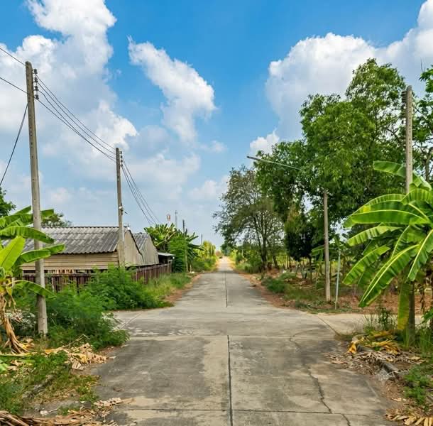 ถนนเอราวัณ1 ต.คลองสอง อ.คลองหลวง จ.ปทุมธานี, ปทุมธานี, คลองสอง, คลองหลวง, ปทุมธานี, 3,200 ตร.ม., ที่ดิน ขาย, โดย ณณัฐ ภัทรจินดานุวงศ์, 500450722 - DDproperty.com