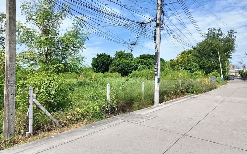 ที่ดินกระทุ่มแบน สมุทรสาคร, Samut Sakhon, Tha Mai, Krathum Baen, Samut Sakhon, , 8,143 sqm, Land For Sale, by อัญธิญาน์ อัศวะถาวรกิตติ์, 500450978 - DDproperty.com