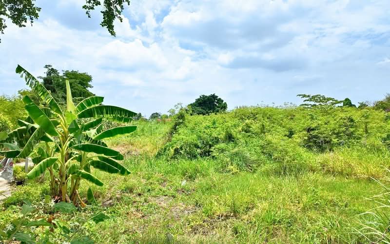 ที่ดินกระทุ่มแบน สมุทรสาคร, Samut Sakhon, Tha Mai, Krathum Baen, Samut Sakhon, , 8,143 sqm, Land For Sale, by อัญธิญาน์ อัศวะถาวรกิตติ์, 500450978 - DDproperty.com